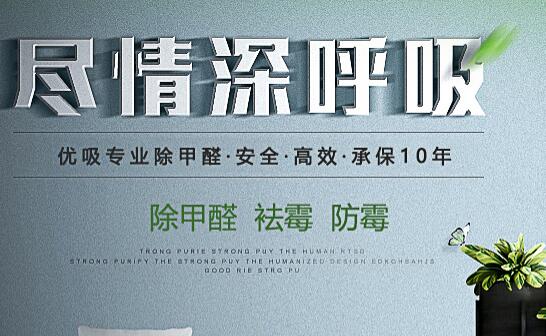 考察除甲醛公司的技巧有哪些