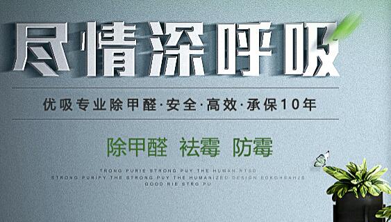 广州除甲醛服务具有哪些基本特点